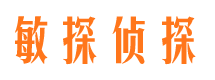 乡城市调查公司